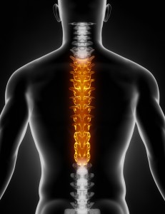 spinal-cord-injuries-anthony-carbone