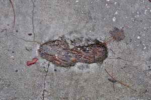 broken-sidewalk-slip-and-fall