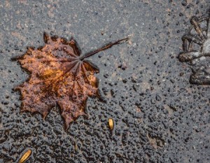 spring-slip-and-fall-conditions