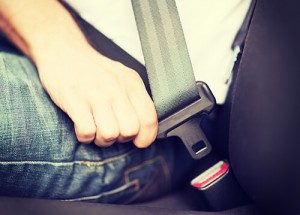 seat belt law anthony carbone