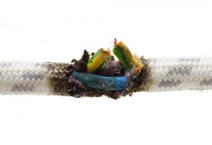 product liability claim anthony carbone