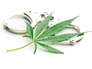 Marijuana and Your Arrest Record